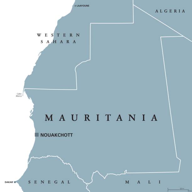 Mauritania political map Mauritania political map with capital Nouakchott. Islamic republic and Arab country in the Maghreb region of Western Africa.  Gray illustration isolated on white background. English labeling. Vector. mauritania stock illustrations