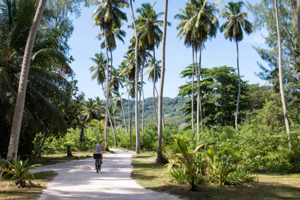 istock Woman bicycling on La Digue, Seychelles 814678004