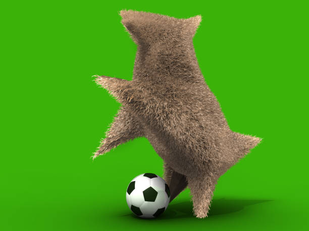Cute bear is playing soccer.