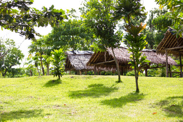 istock Picnic area in Vanuatu with wooden huts, copy space 814689468