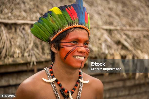 Foto de Homem Brasileiro Nativo Da Tribo De Tupi Guarani No Brasil e mais fotos de stock de Tribo Norte-Americana