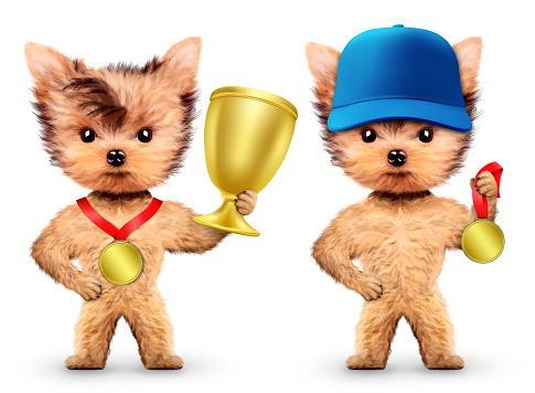 Funny dogs wearing baseball cap and holding gold medal. Concept of sport and fitness. Realistic 3D illustration.