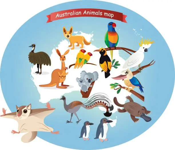 Vector illustration of Australian  Animals Map