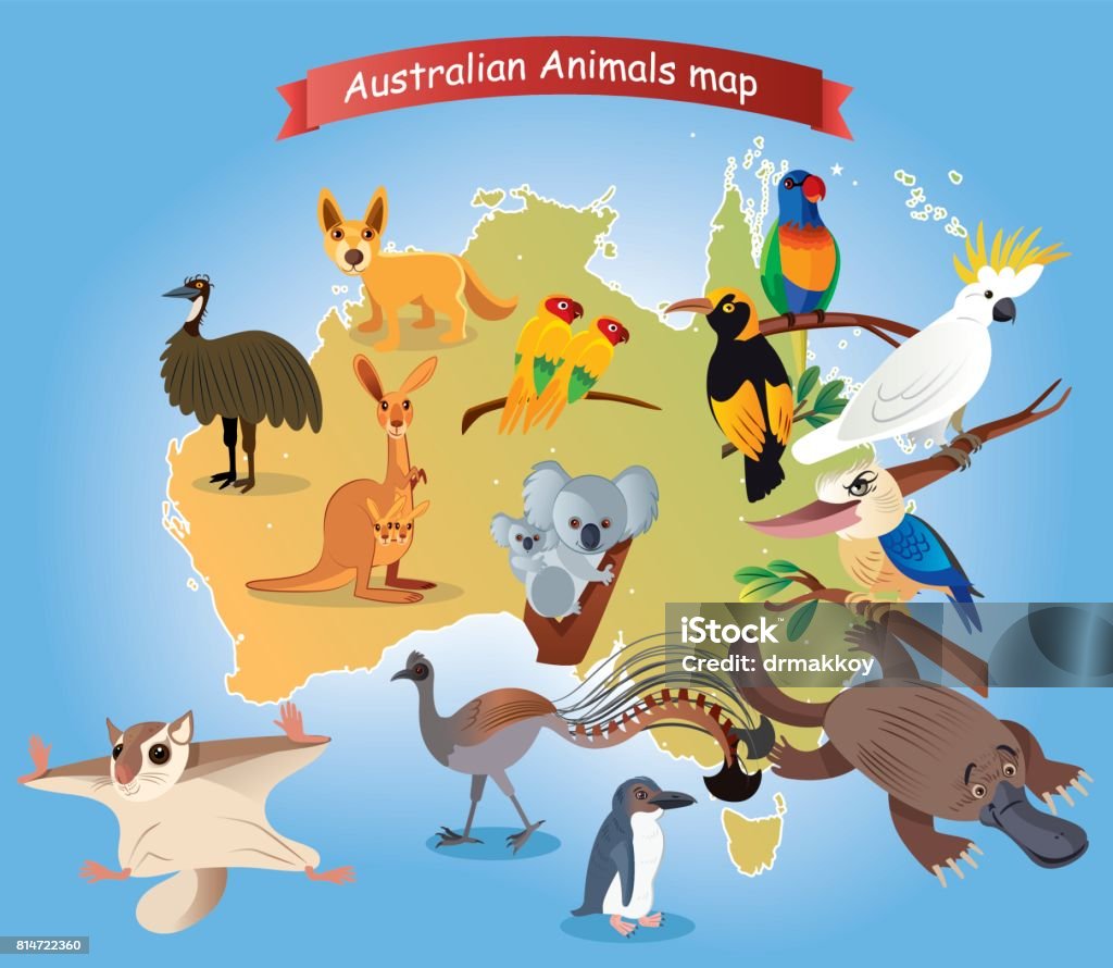 Australian Animals Map Stock Illustration - Download Image Now - Australia,  Animal, Australian Culture - iStock