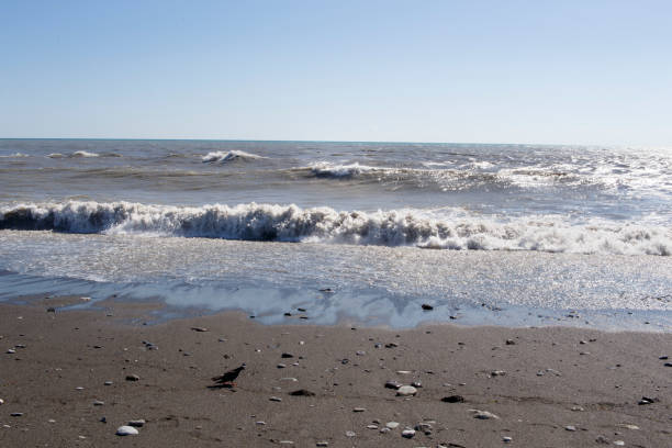 istock Black Sea. Sea waves. 814722508