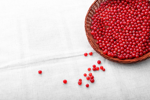 Close-up fresh red berries in a spacious light brown basket. Bright red currant on a gray background. Delicious juicy currant for healthful breakfast.