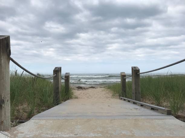 istock Lake Michigan 814742266