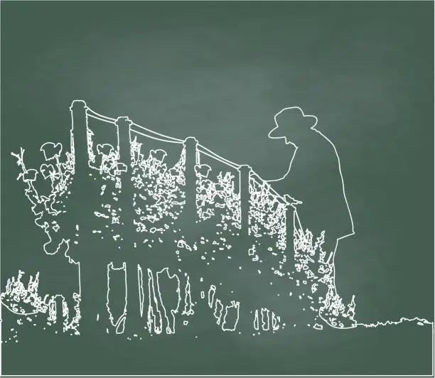 Vector illustration of Pruning The Orchard