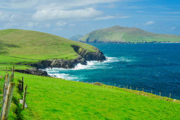 istock Irish coastline and Great Blasket Island 814774804