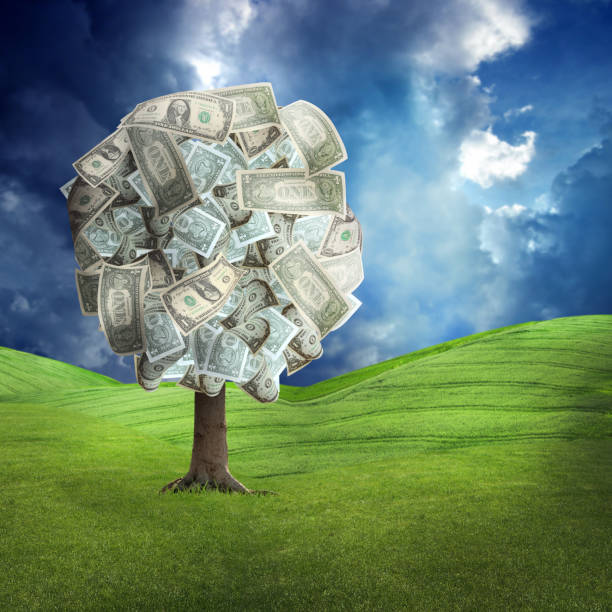 istock money tree on green landscape 814793916