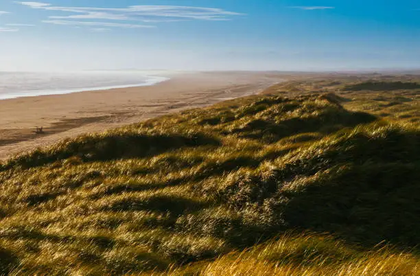 Photo of Oreti Beach, Southland, New Zealand