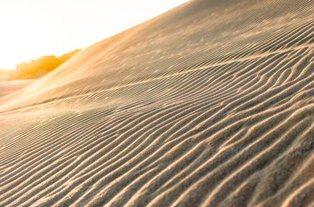 istock White and yellow sand in the desert beach 814812364