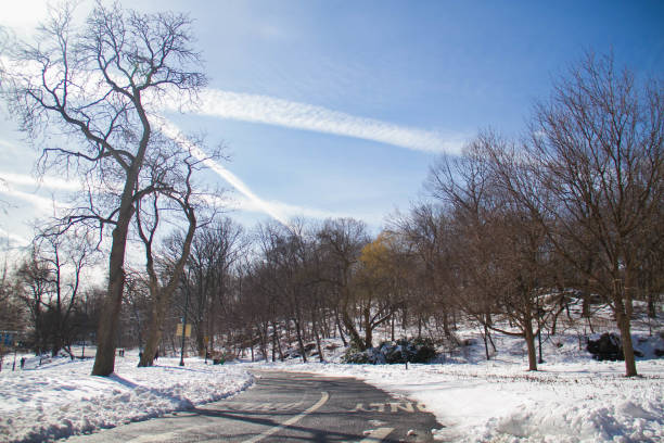 istock Road between snow at the park in winter and cloud 814877056
