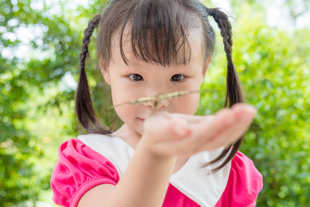 istock girl looking at butterfly on her hand in park 814893966