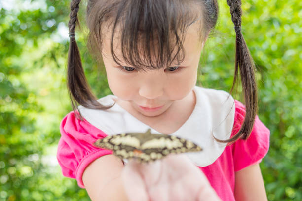 istock girl looking at butterfly on her hand in park 814893972