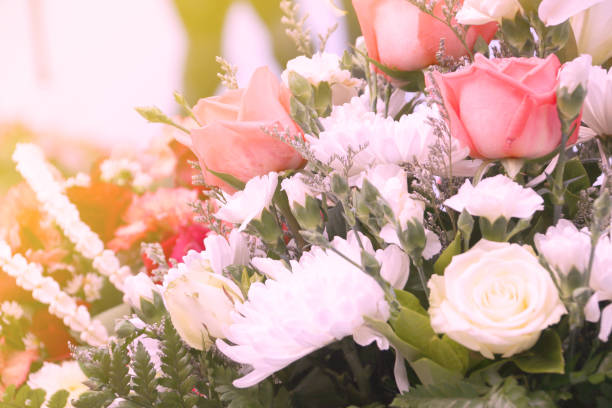 istock Sweet color flowers  style for background 814905816
