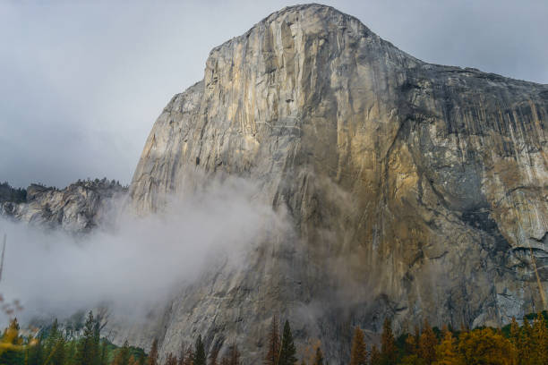 istock El Capitan Meadow with tall yellow grass 814928166