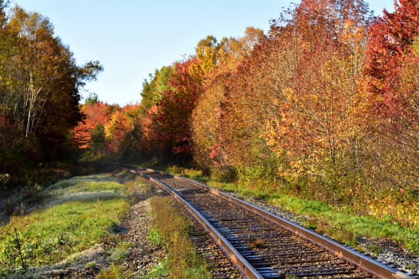 istock Railroad Track in the Autumn 814948302