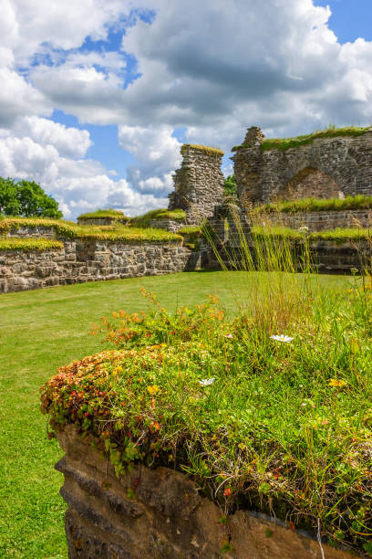 istock Gudhem monastery ruins in the summer 814950716