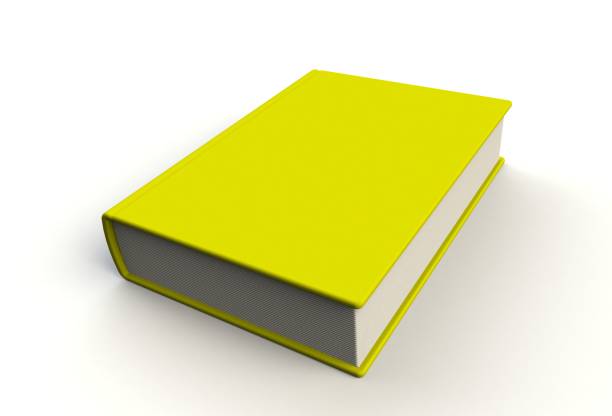 istock Blank yellow book cover on white background, 3D rendering 814953754