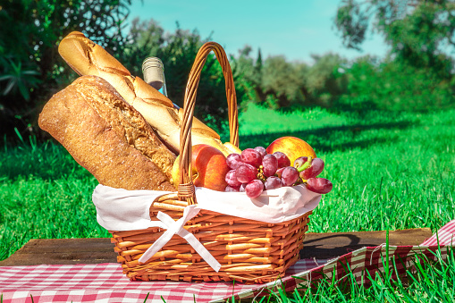 A side view of a picnic hamper with bread, fruit, and a bottle of wine, on a green lawn on a sunny day, with a place for text