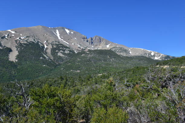 istock The Great Basin National park in Nevada. 814966188