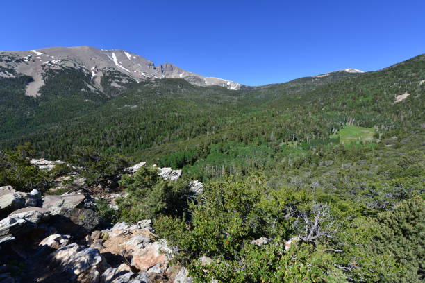 istock The Great Basin National park in Nevada. 814968898