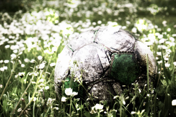 Film grain. Old football ball hidden in the high grass flower and filed Film grain effect. Old football ball hidden in the high grass flower and filed leather white hide textured stock pictures, royalty-free photos & images