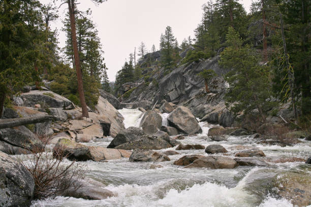 istock A wild stream in Yosemite National Park 814992604