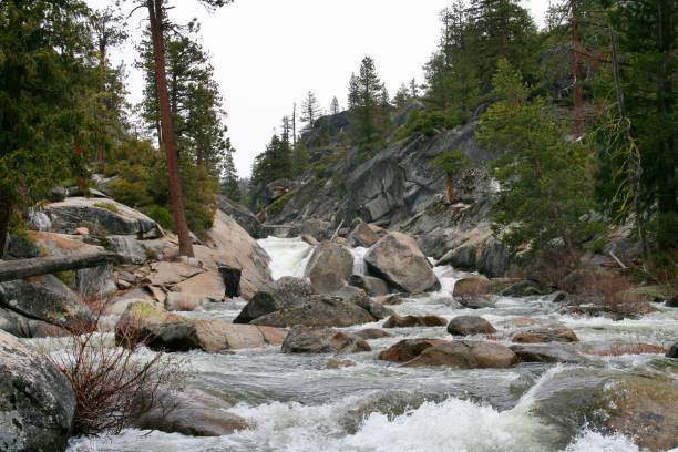 istock A wild stream in Yosemite National Park 814992614