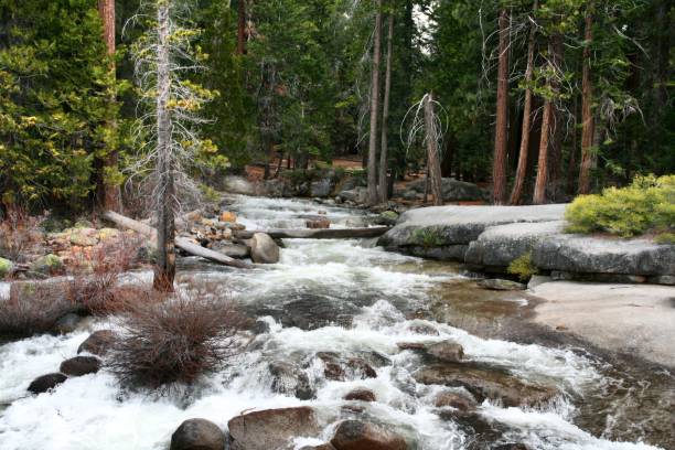 istock A wild stream in Yosemite National Park 814992616