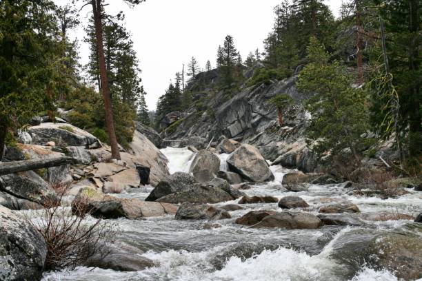 istock A wild stream in Yosemite National Park 814992618