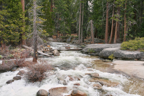 istock A wild stream in Yosemite National Park 814992620