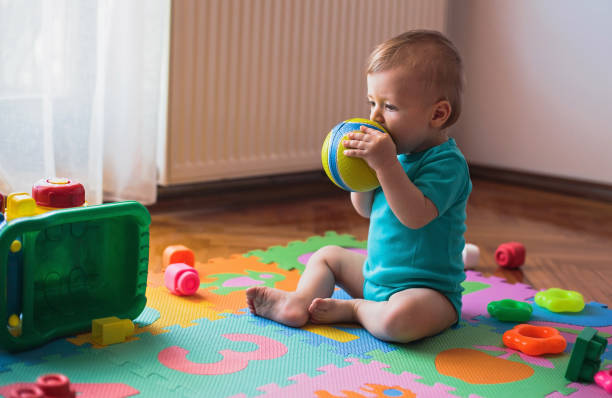 istock I love to chewing my ball 815000940
