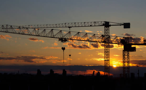 istock Profiles of building cranes at sunset 815001668
