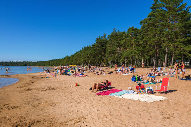 gente tomando sol na praia - tree large group of people sand sunbathing - fotografias e filmes do acervo