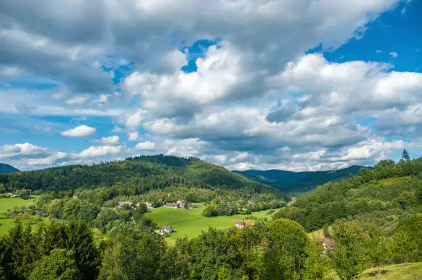 Landscape of the Black Forest near Gengenbach