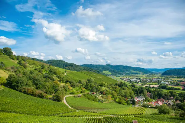 The Kinzig Valley with vineyards in Gengenbach in the Black Forest