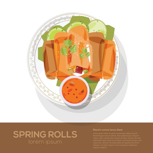 70+ Vietnam Spring Rolls Stock Illustrations, Royalty-Free Vector ...