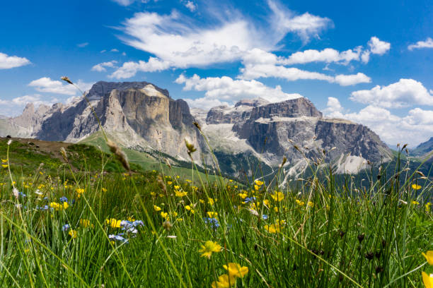 istock Beautiful summer mountain landscape. Sella group. Dolomites. Italy. 815021908