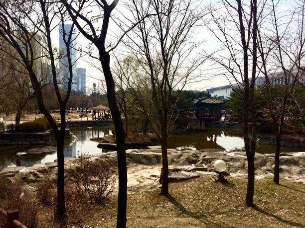istock Mysterious Seoul (Korea) during spring with traditional asian buildings inside a public park with trees and a pond and skyscrapers of the big city in the background 815028870