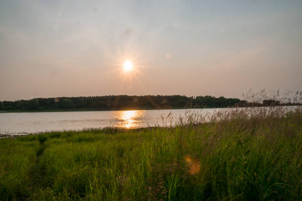 istock sunset on the lake in the summer 815042946