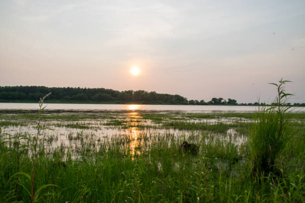 istock sunset on the lake in the summer 815043038