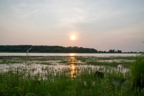 istock sunset on the lake in the summer 815043104