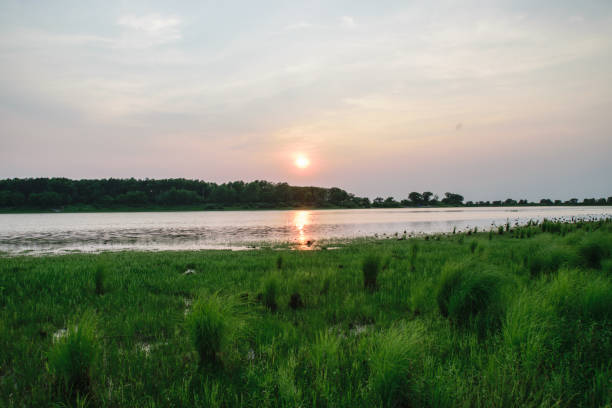 istock sunset on the lake in the summer 815047826