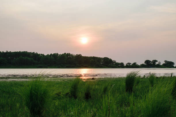 istock sunset on the lake in the summer 815047838