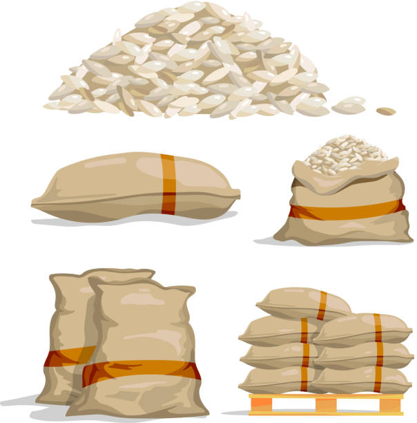 Different sacks of white rice. Food storage vector illustrations Different sacks of white rice. Food storage vector illustration. Grain rice in bag, sack with rice rice cereal plant stock illustrations
