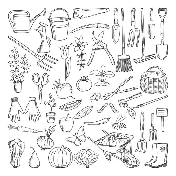 illustrazioni stock, clip art, cartoni animati e icone di tendenza di utensili disegnati a mano per l'agricoltura e il giardinaggio. doodle dell'ambiente naturale - gardening shovel trowel flower
