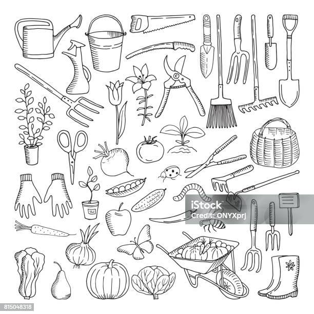 Hand Drawn Tools For Farming And Gardening Doodle Of Nature Environment Stock Illustration - Download Image Now