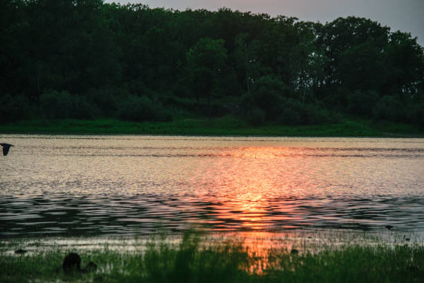 istock sunset on the lake in the summer 815052580